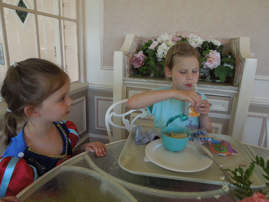 Disneyland Plaza Inn Picture